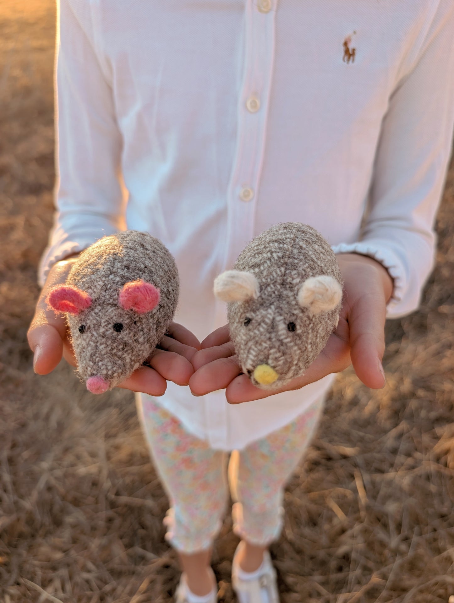 Tiny Mice